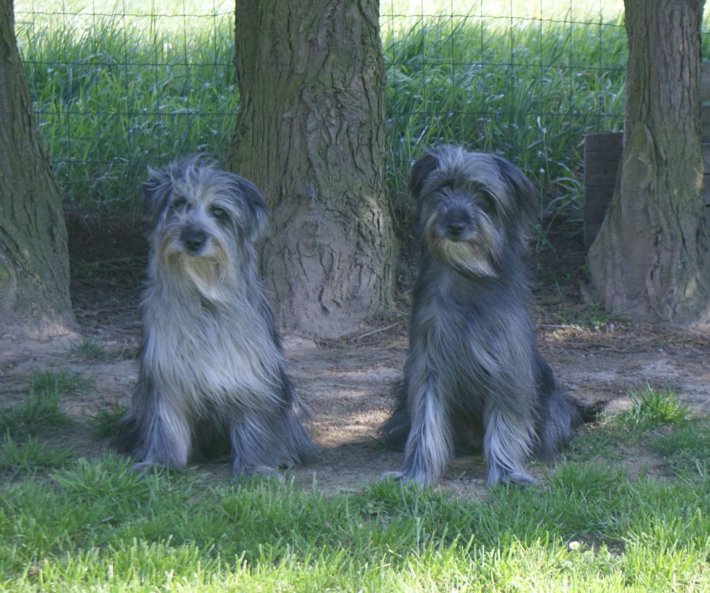 2 filles de Missy & Néo !