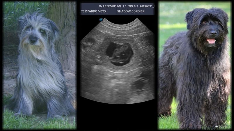 Naissance, le 10 juin 2025.